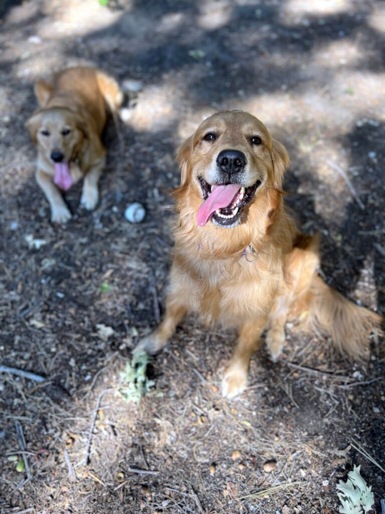 IMG_20250925_180638 MJ and Aya