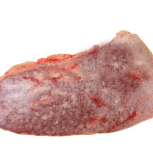 Beef Spleen