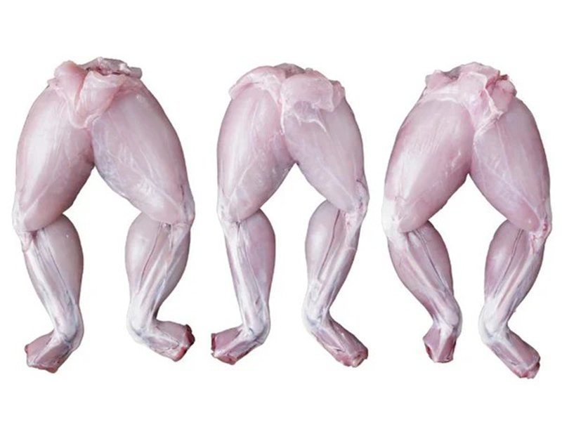 Frog legs