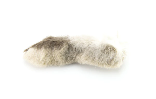 Rabbit Feet