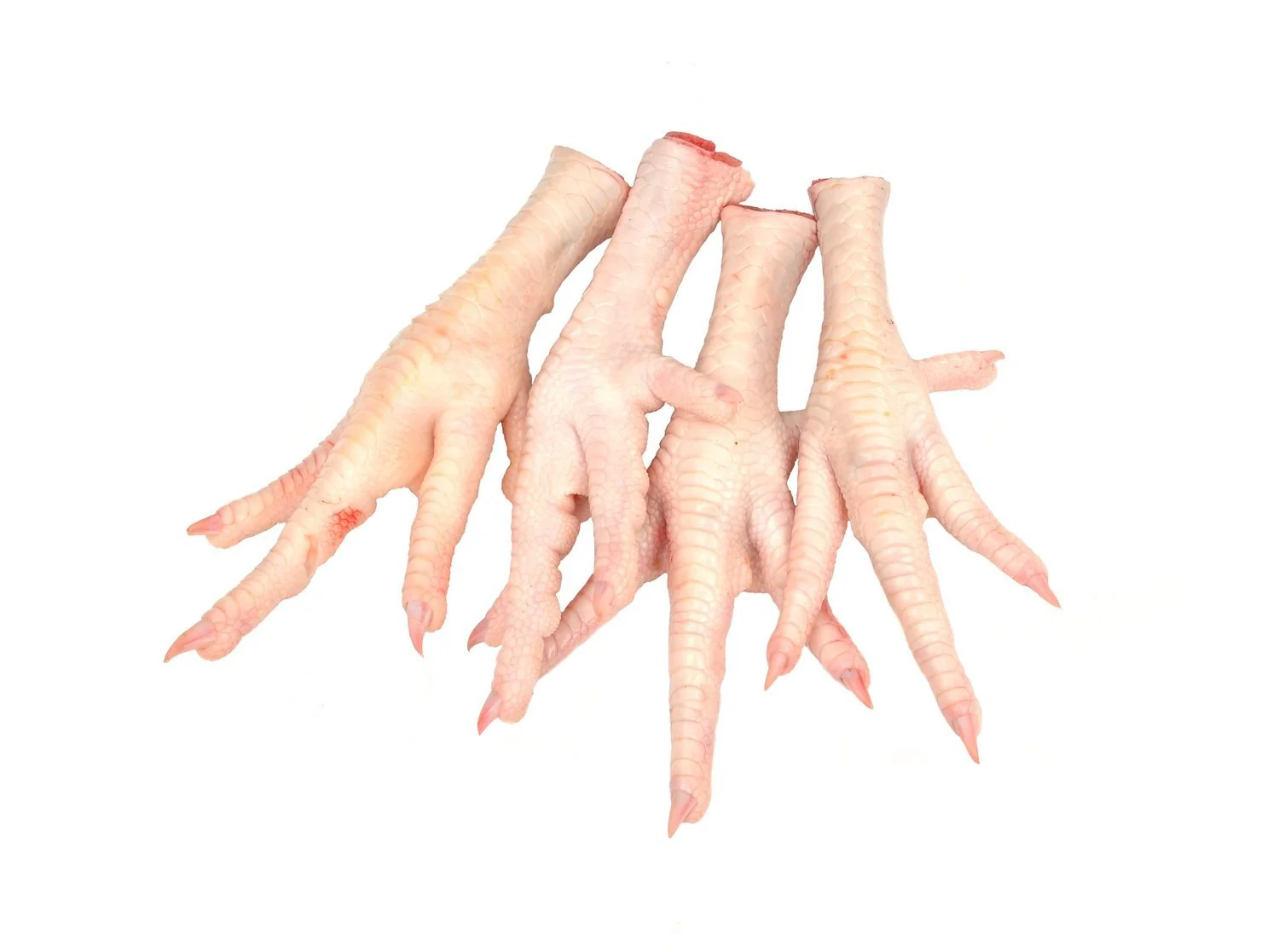 Chicken Feet