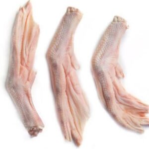 Raw Duck Feet