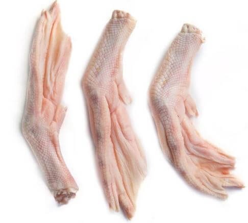 Raw Duck Feet