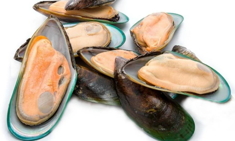 Green Lipped Mussels