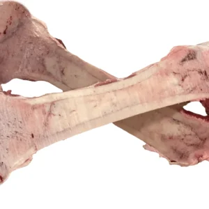 femur bones