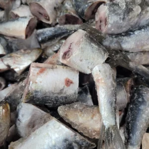 Wild Caught Raw Sardine Bites