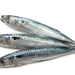 Sardines