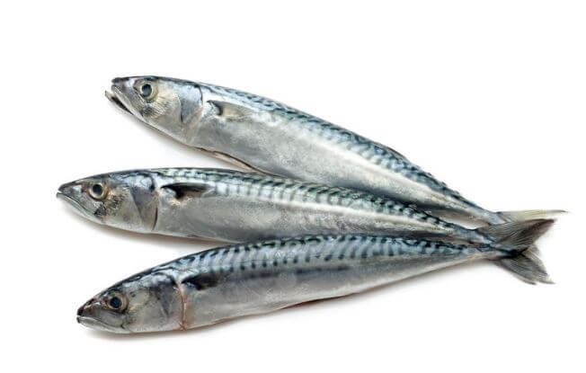 Sardines